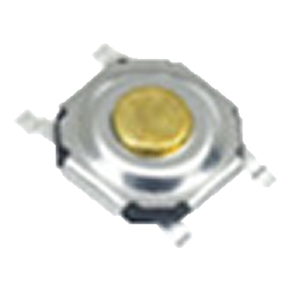 FVCM08