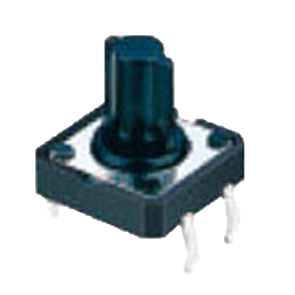 FVGP06
